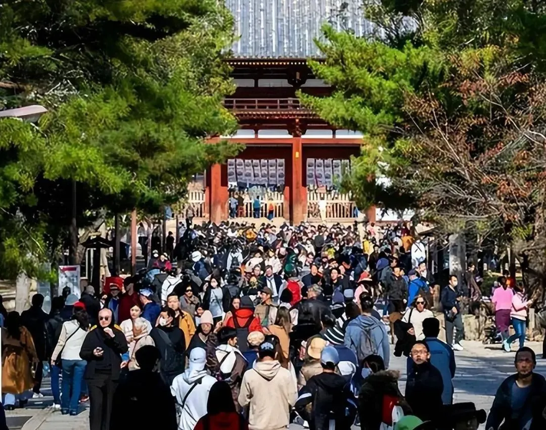 “这个时候,你想去日本旅游?”