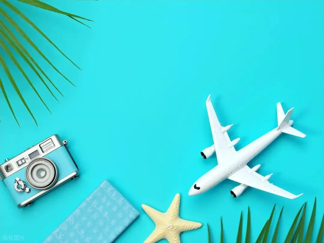 旅游概念龙头股全景解析