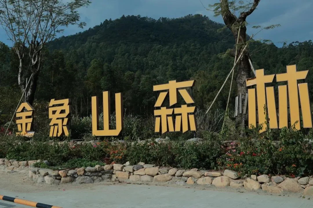 新晋3A景区金象山森林公园