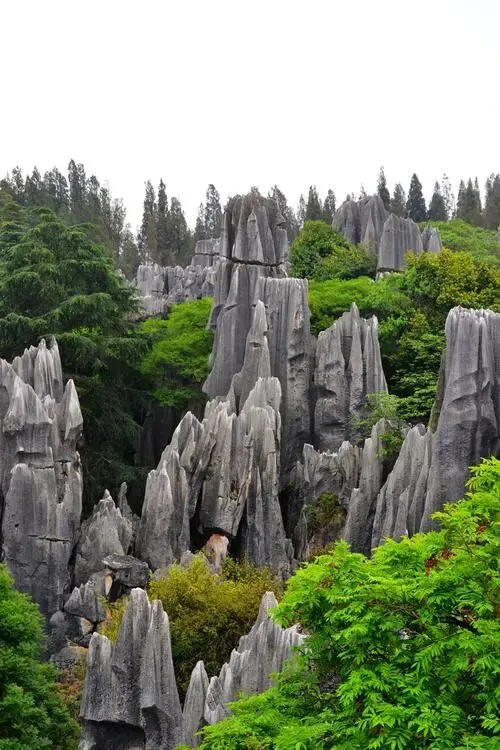 云南石林把全国景区的喀斯特地貌饭碗砸了