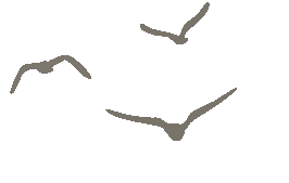 明起,黄岩这个景区免费开放!