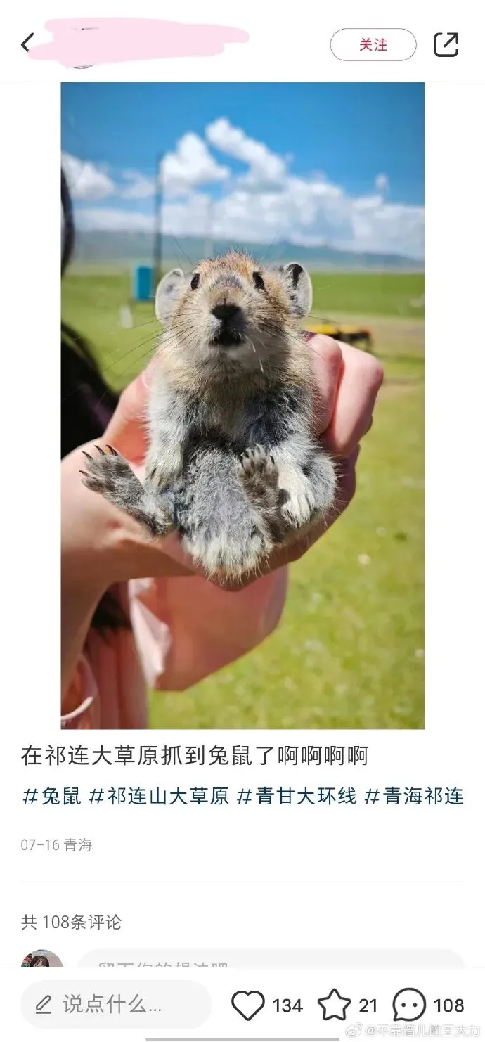 旅游“笔记”出现这一幕,科普博主急呼:快住手!