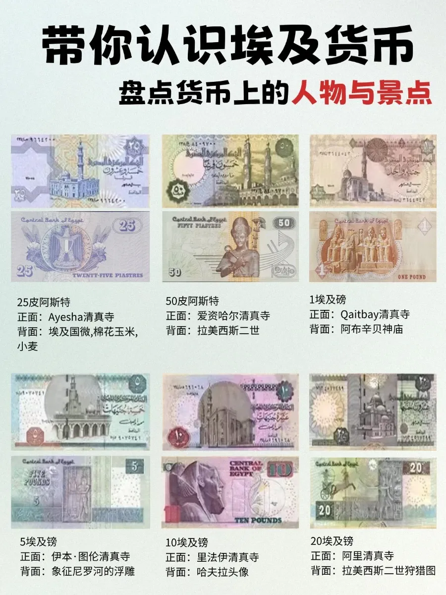 埃及货币上的人物与景点详解