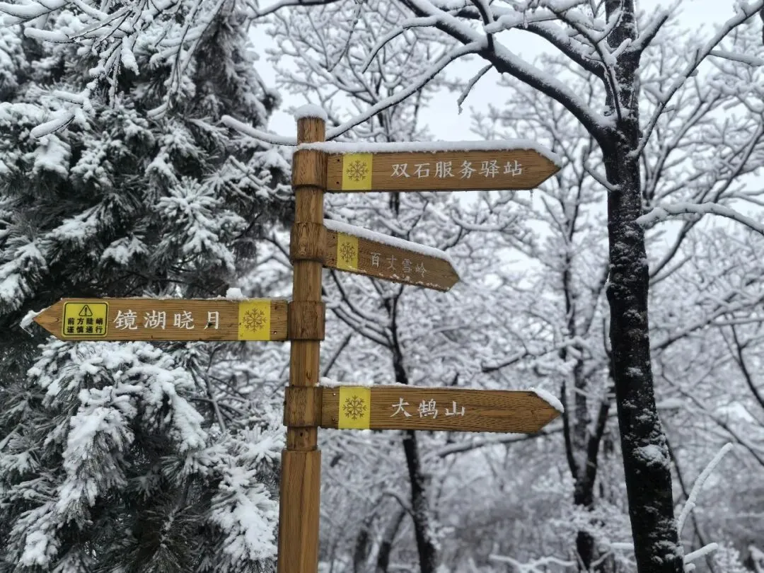 家庭关系如何,一起旅游一次就知道了!