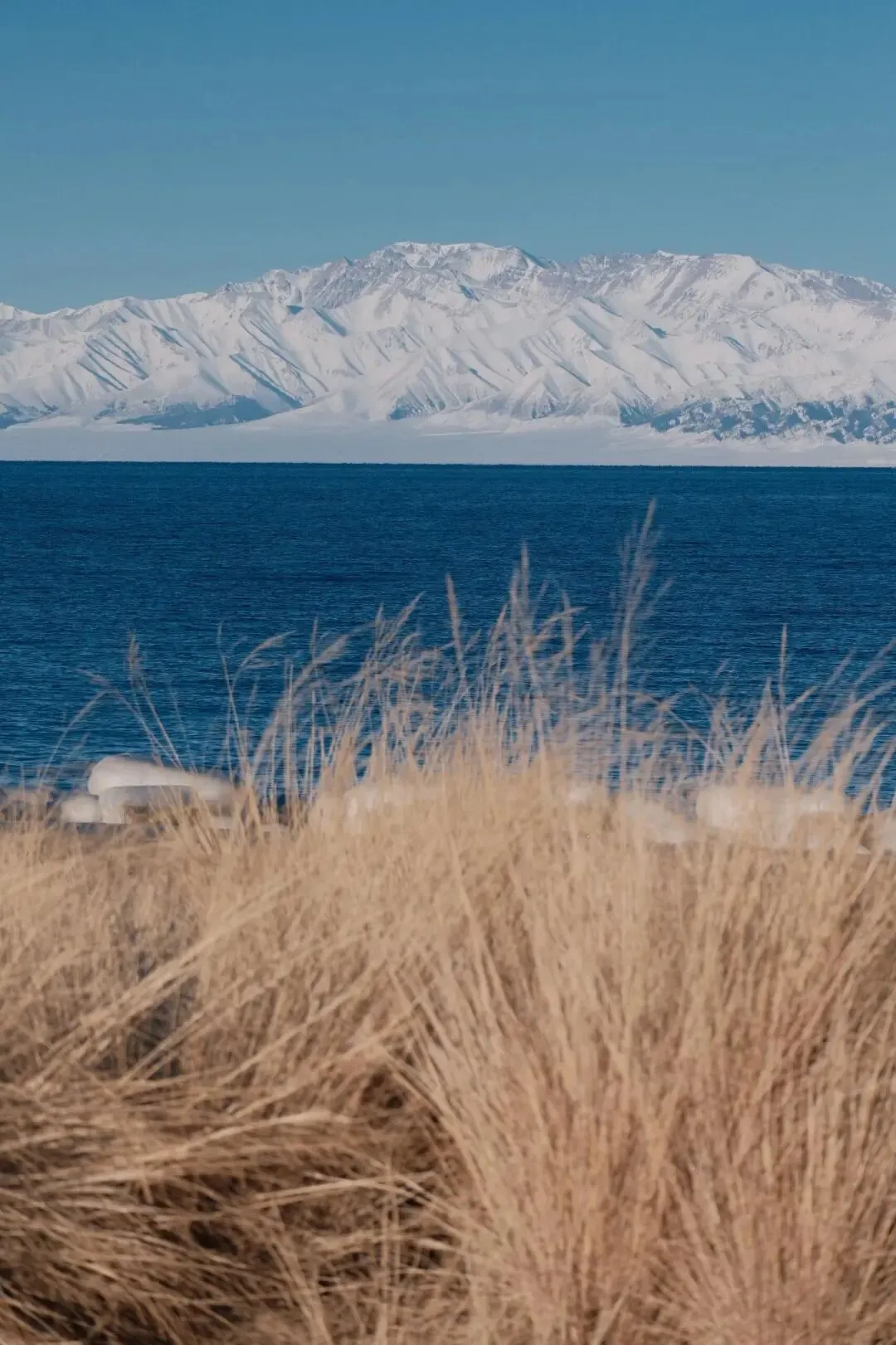 赛里木湖旅游已回,我的消费观崩塌了!!!