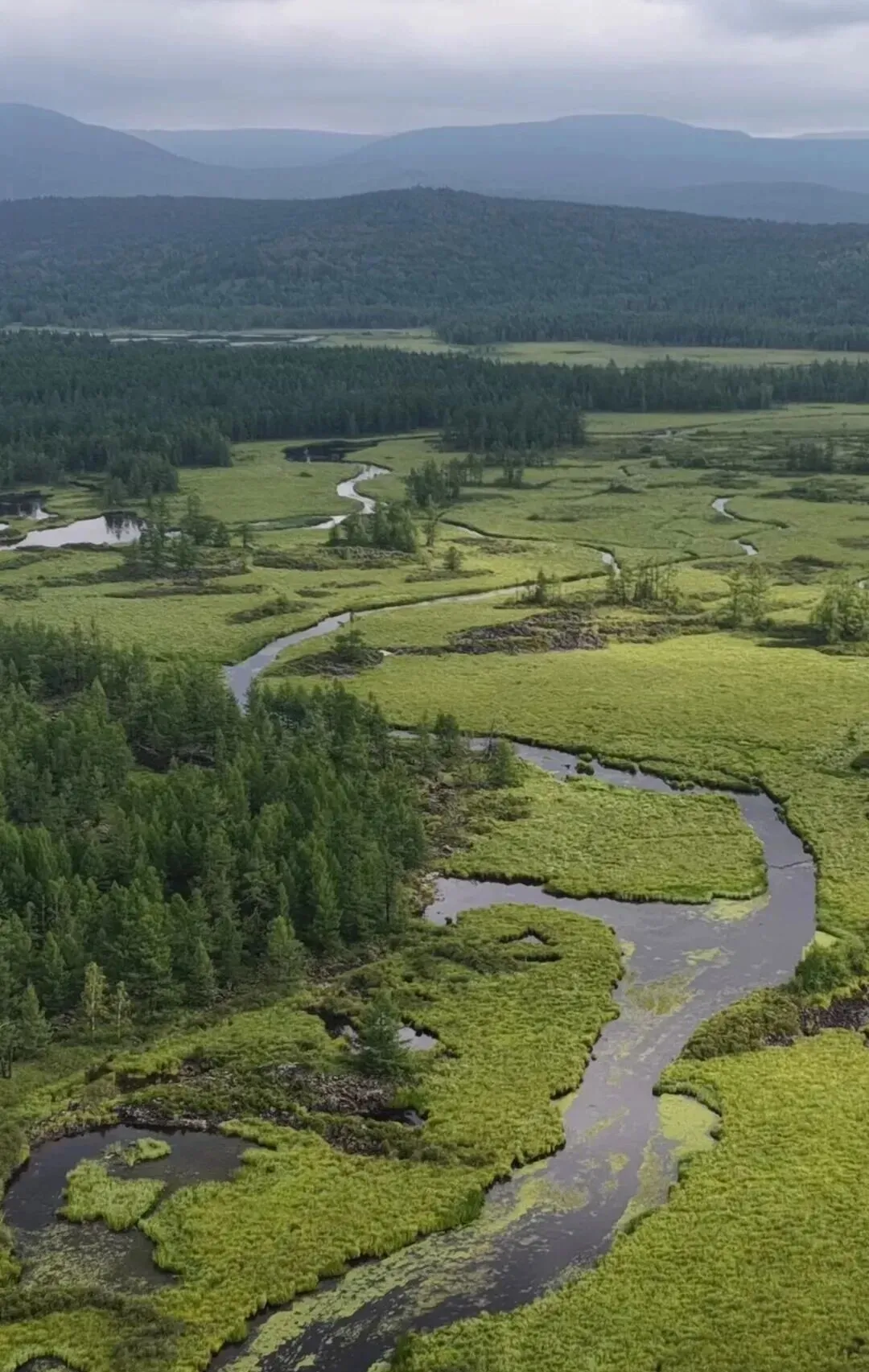 内蒙古-阿尔山柴河景区