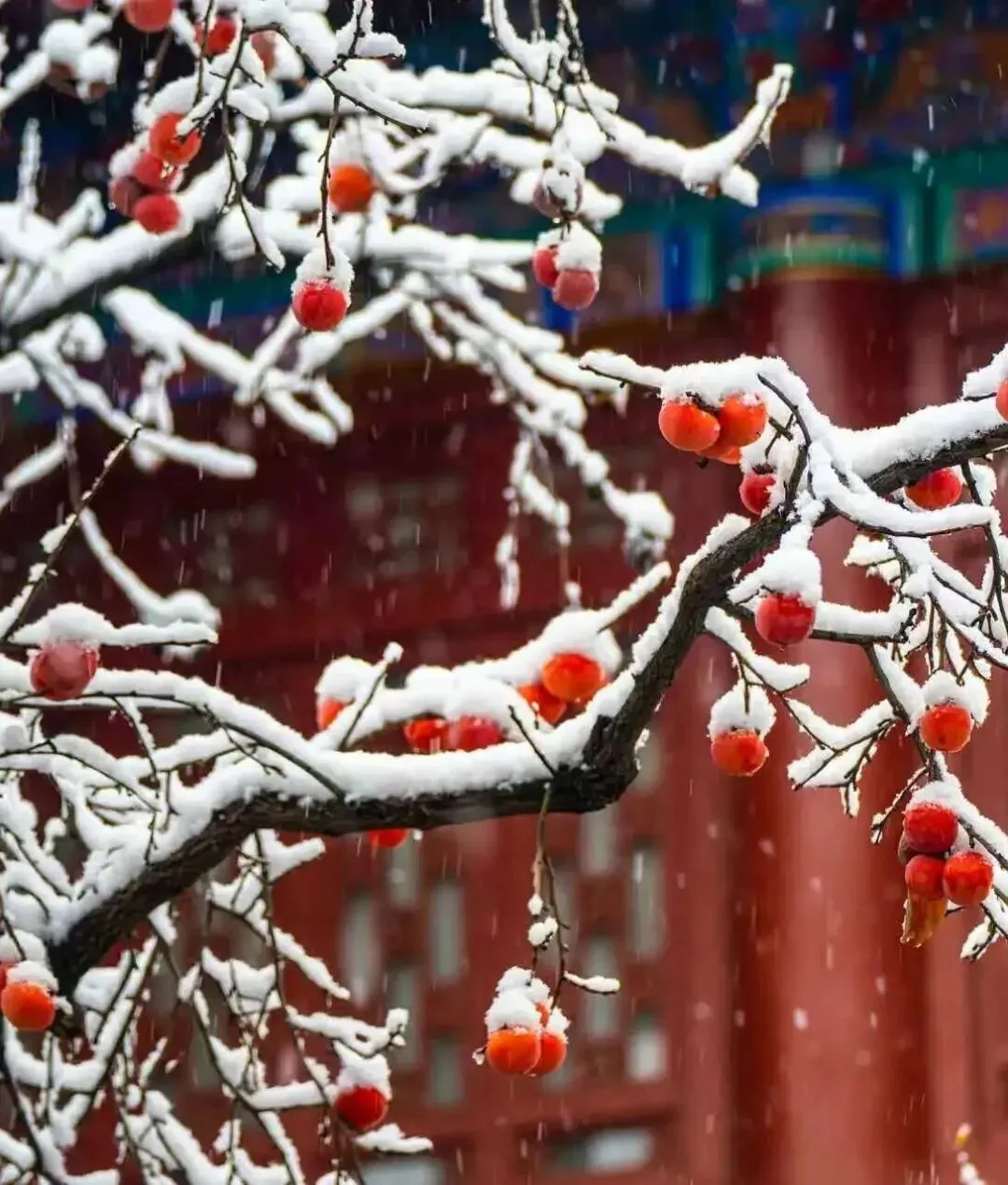 荣登温泉酒店榜!一户一私汤,直通5A景区,梦回唐风宫廷!