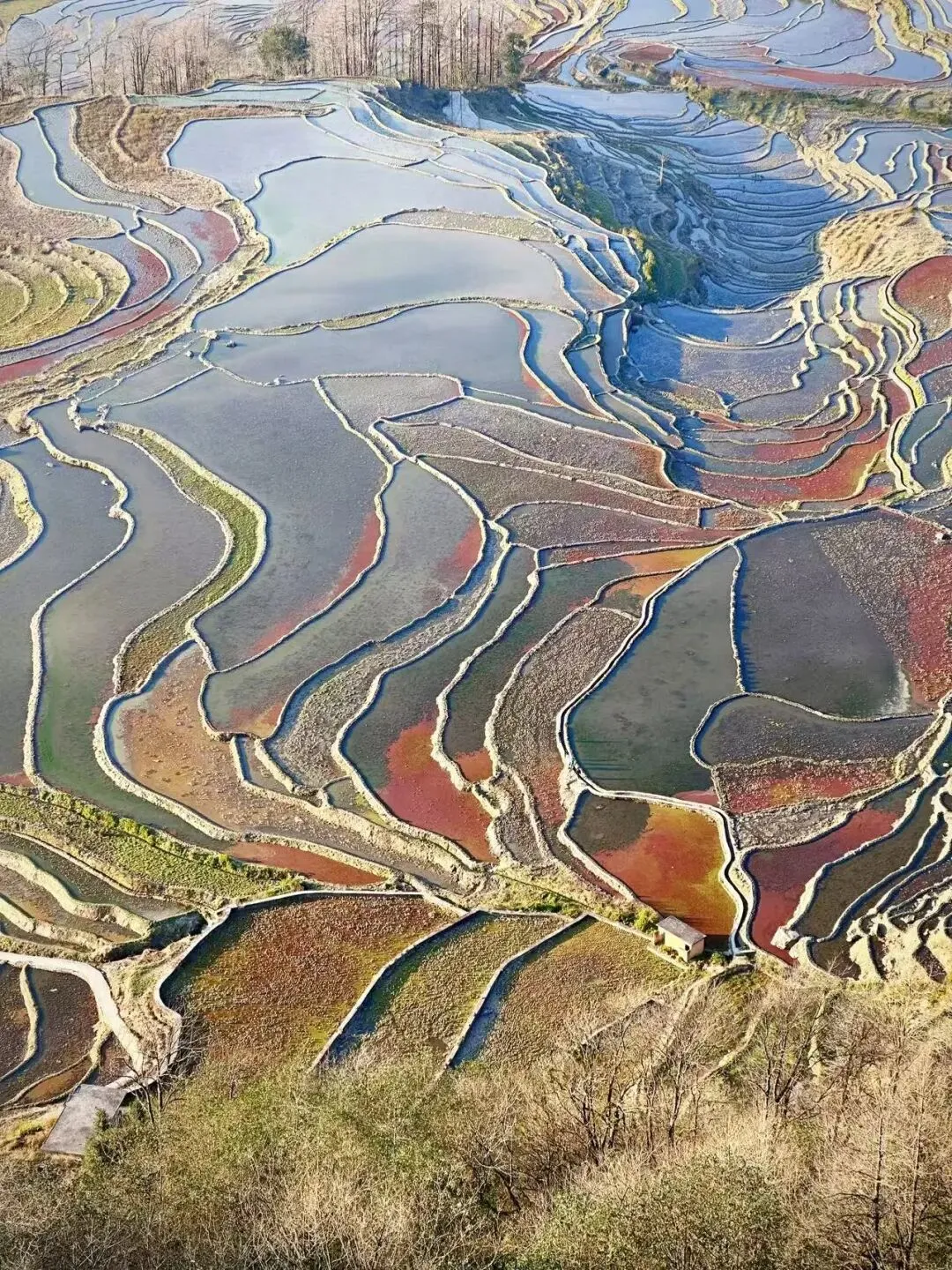 元阳梯田美哭了!推荐几个非常出片的观景点!