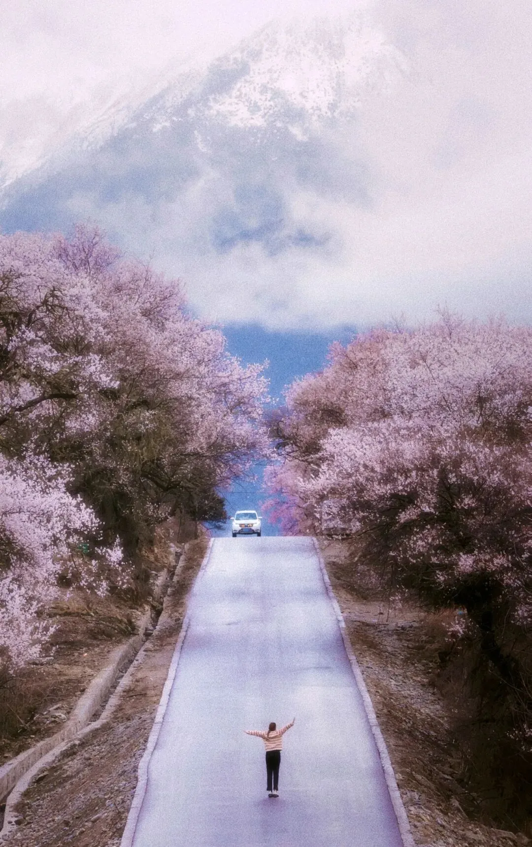 2026春游指南!8大TOP级赏花旅游地推荐!