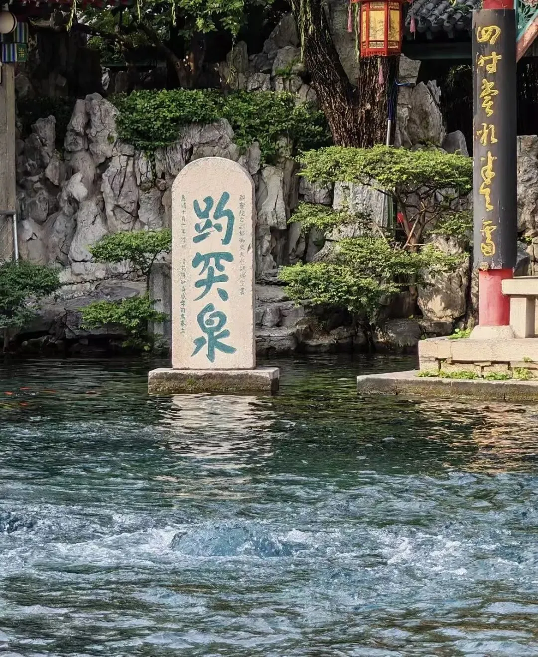 山东济南狂喜!趵突泉景区免费了!以前收费40元,如今敞开玩