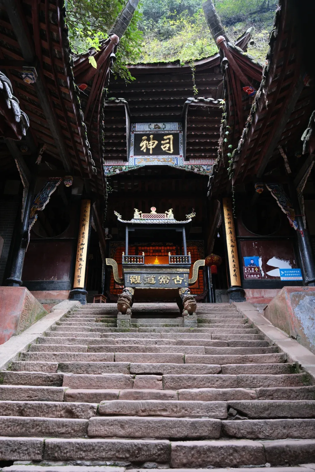 四川成都狂喜!都江堰景区免费了!以前收费80元,如今敞开玩