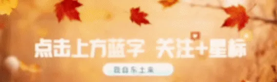 大连又有5家景区官宣免费,属马的赶紧冲