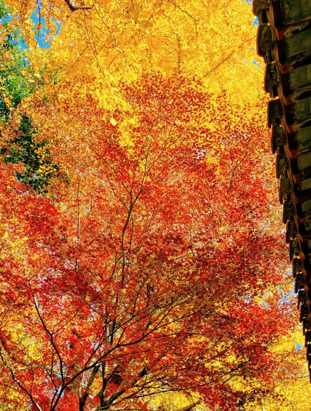 苏州旅游景点推荐