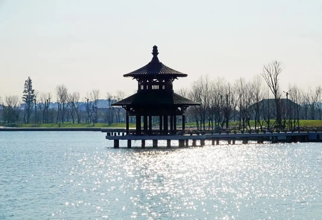 盐城大洋湾生态旅游景区(十二)