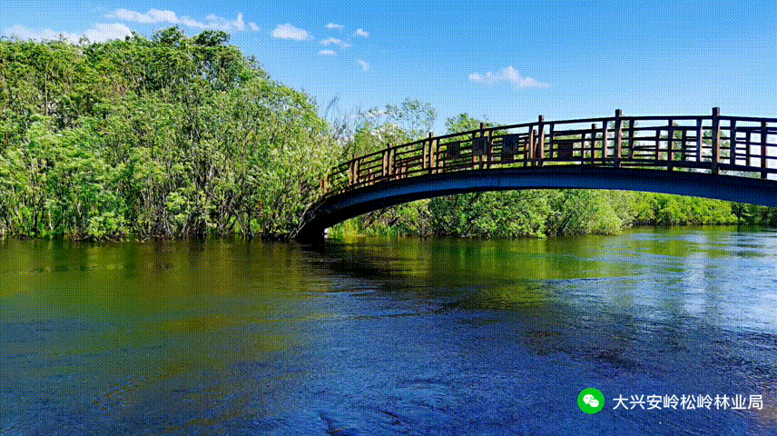 冰雪藏韵・工段芳华—环宇303景区摄影大赛 火热进行中!