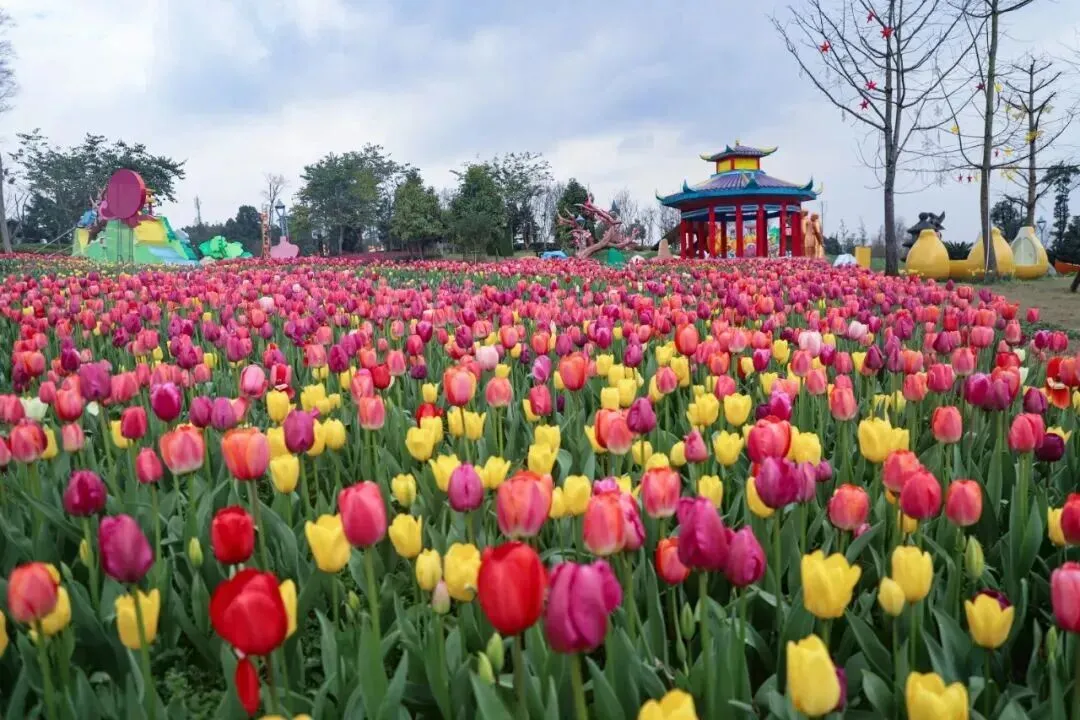 重庆【长寿湖】景区门票32元,观光车票27元,画舫短线票48元,摩托艇票58元,门票+观光车仅需53元!