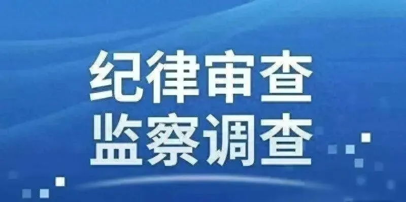 开封春节前通报四人落马,礼金旅游成标配,基层权力真能“小贪不犯法”?