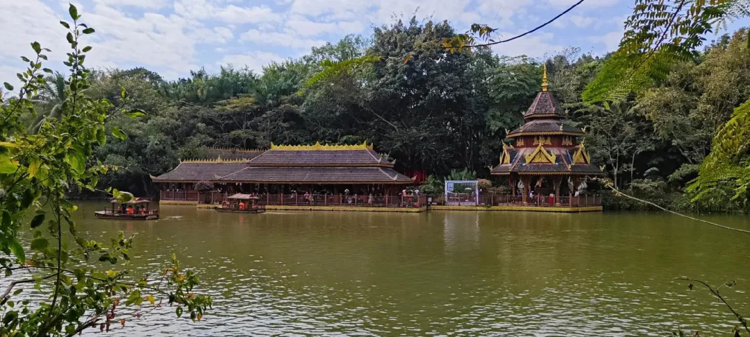 大批韩国游客涌入云南西双版纳,打着旅游的名义,不看野象不喝普洱,他们到底想干啥?