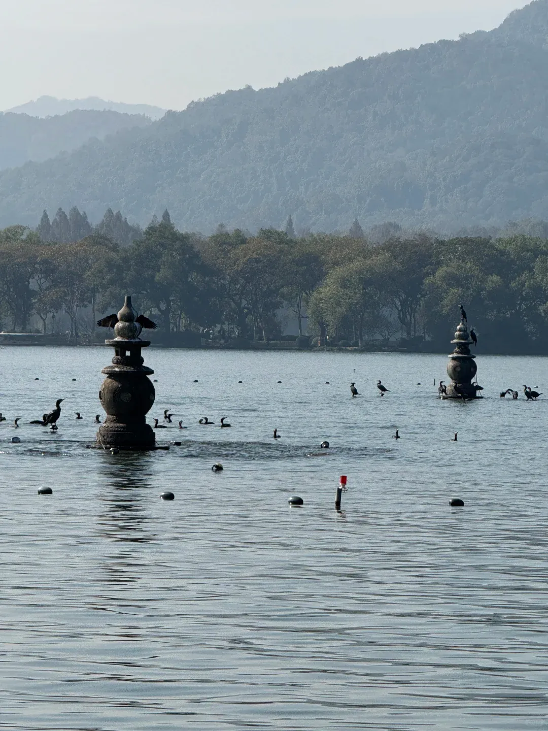 2月春节假期!这6处宝藏景点全部免费,三天假期也够玩,松弛感拉满!!