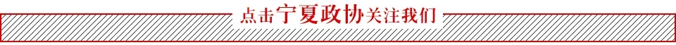 提案梳理 | 聚力破局提质 共绘国际旅游目的地蓝图——港澳地区自治区政协委员为宁夏文旅高质量发展建言
