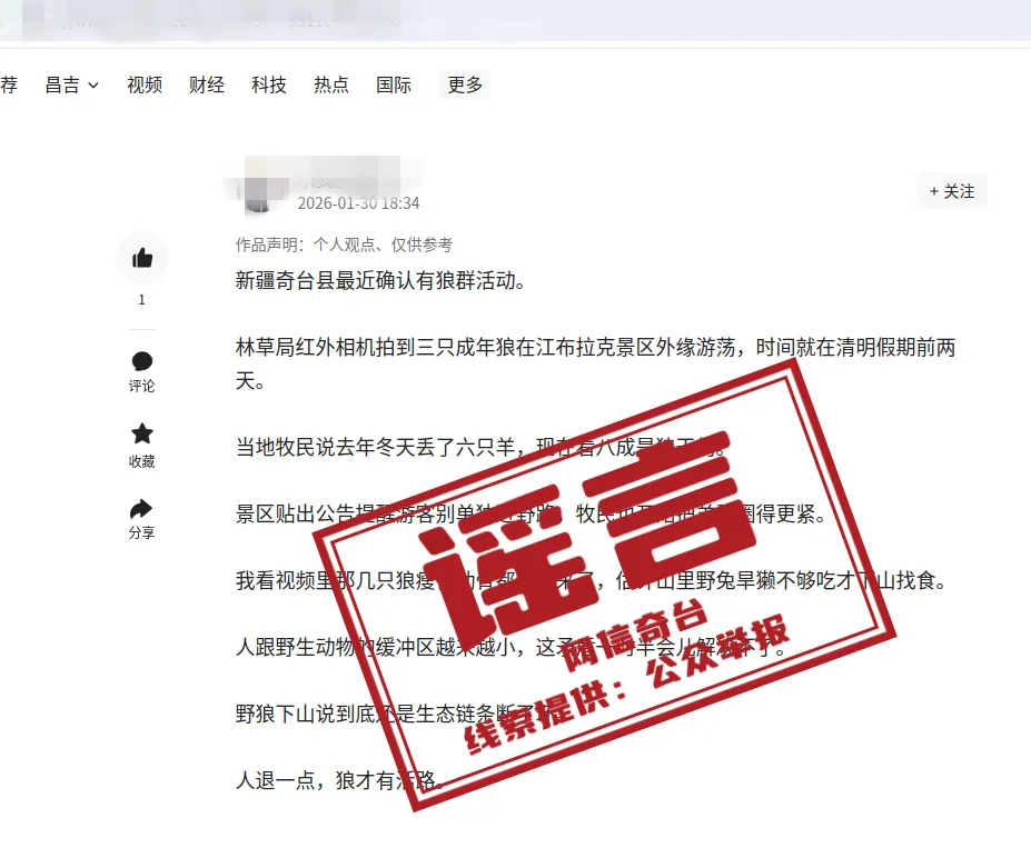 辟谣丨新疆江布拉克景区出现狼群活动