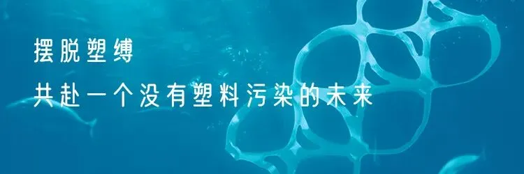 舟山青浜岛试点循环杯,海岛旅游开启一次性塑料替代尝试