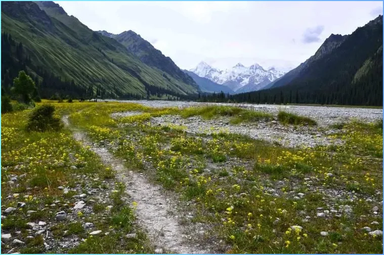大量青海游客扎进新疆夏塔古道,打着旅游的名义,不徒步不看冰川,想干嘛?