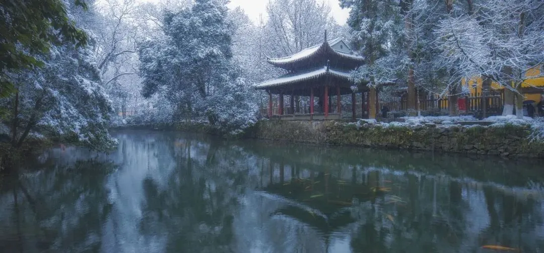 灵隐飞来峰景区 || 今日起将不再受理现场登记入园