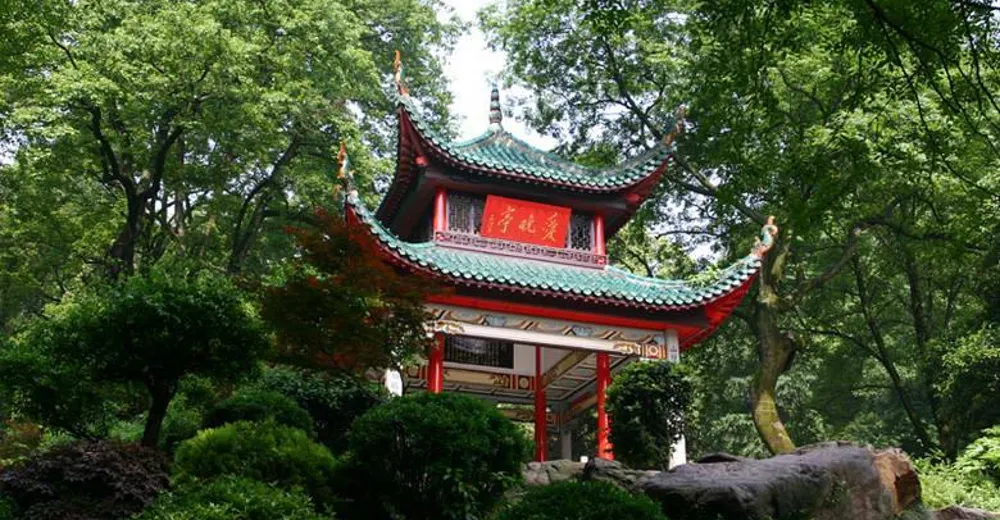 大批韩国游客涌入湖南长沙,打着旅游的名义,不排茶颜悦色不吃臭豆腐,他们到底想干啥?