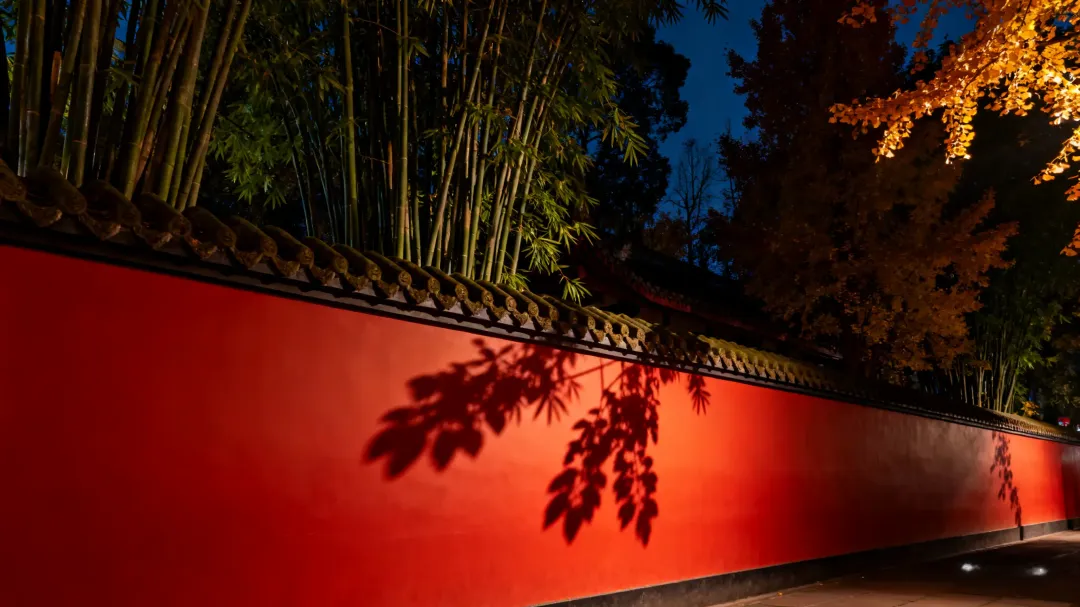 大批韩国游客涌入四川成都,打着旅游的名义,不看变脸不掏耳朵,他们到底想干啥?