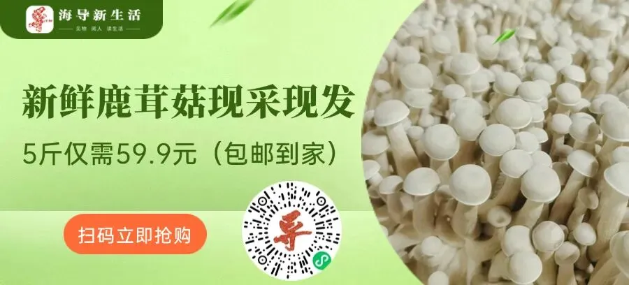 旅游博主境外被带到“小黑屋”问询,手机被没收,被迫接受间谍任务!更多细节曝光:间谍情报人员要求其回国后,前往军事基地周边拍摄