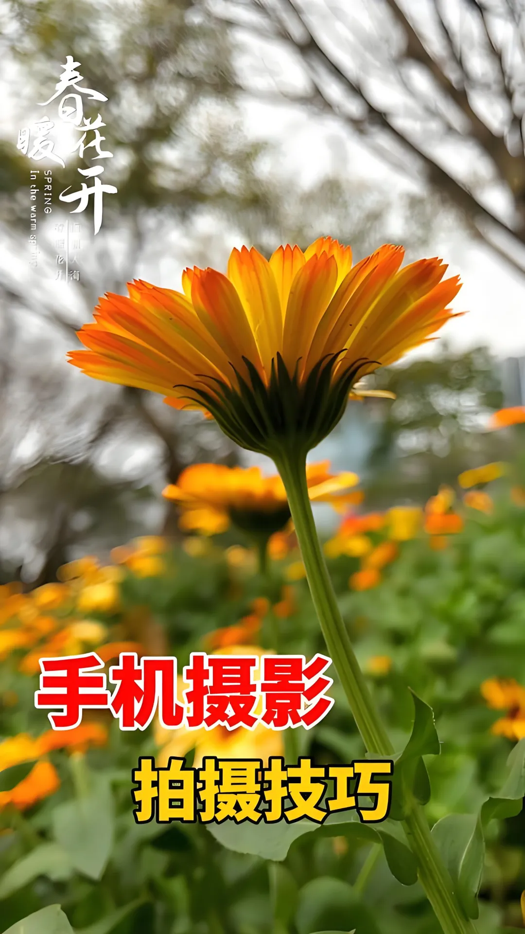 行天下退休旅游俱乐部·手机摄影 春季班通知