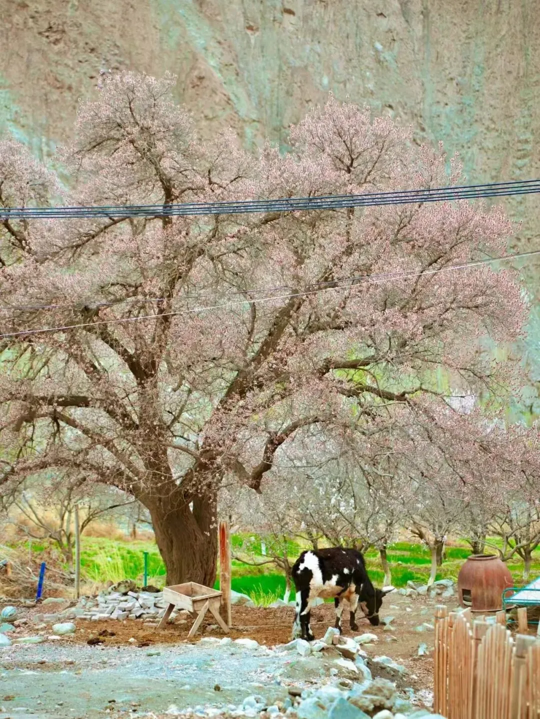 2026旅游创业:蓝海之下,3个暴富机会与3个致命深坑