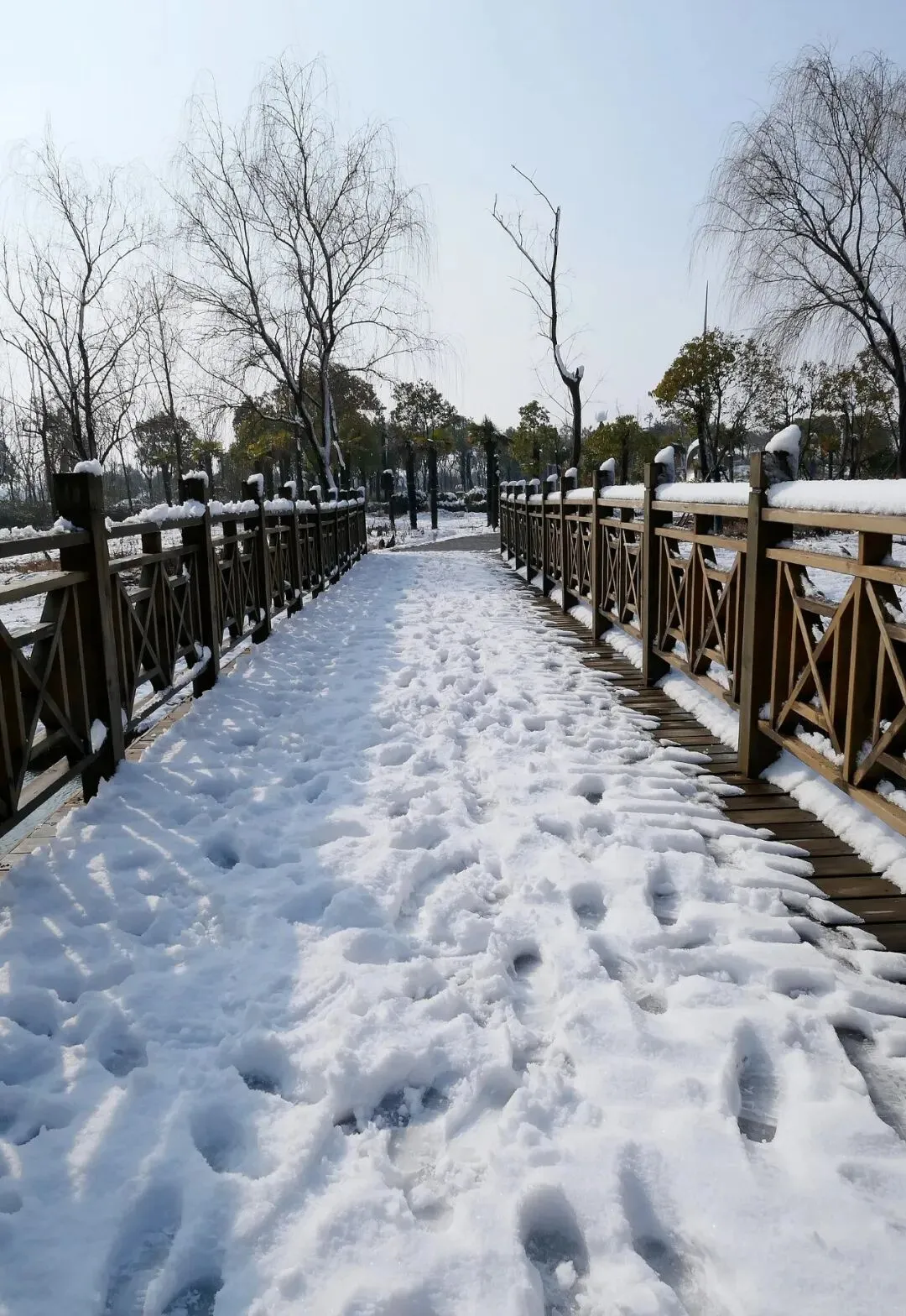 盐城大洋湾生态旅游景区雪景(十四)