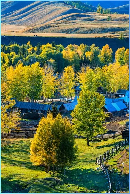 大量青海游客突然进入新疆白哈巴,打着旅游的名义,不看图瓦人村落不住木屋,想干嘛?