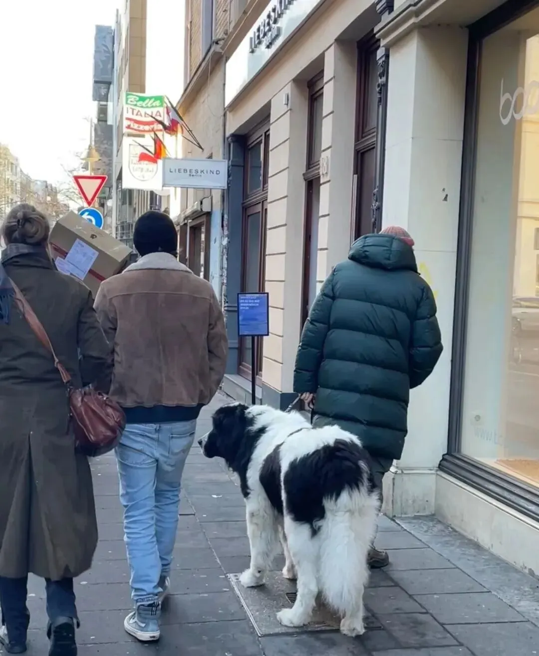 网友去欧洲旅游差点儿幸福晕,那里就是一个巨大的狗咖!