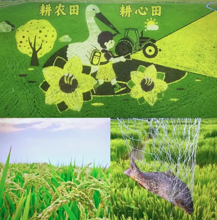 别再扎堆热门景点了!这几个初秋反向旅游地9月正美,古城海滩胡杨林,总有你喜欢的