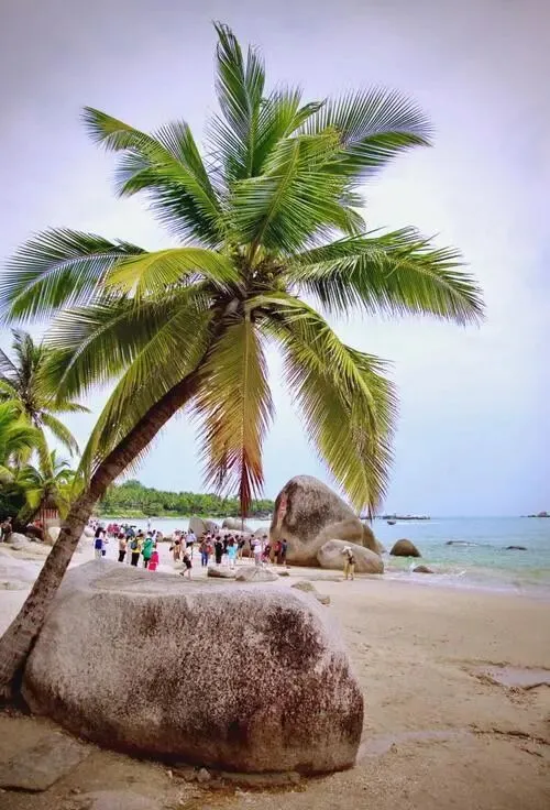 海南这些AAAAA级景区,去过3个算合格,你都去过哪几个?