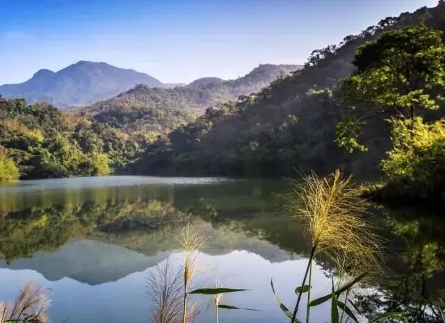 在海南报团旅游的“候鸟”们,如何避开“购物陷阱”