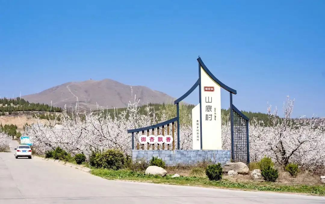 乡村旅游合法化发展实操指南——从“灰色运营”到“阳光赛道”的系统转型路径