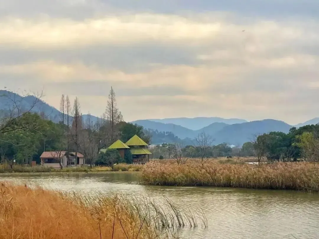 2月7日,余姚这个景区开放!