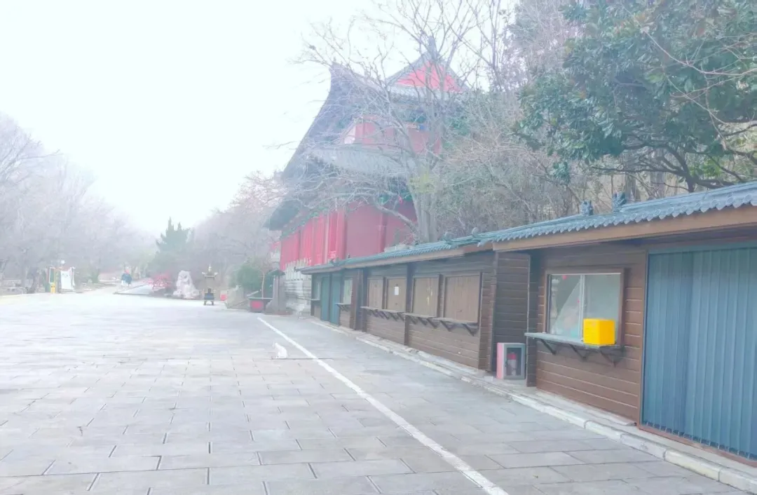 青檀景区2026年核心商业旺铺公开招租公告