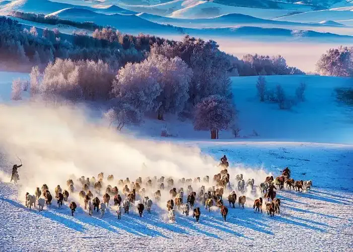 大量韩国人涌入内蒙古赤峰,打着旅游的名义,不看乌兰布统不逛克什克腾,他们想干啥?