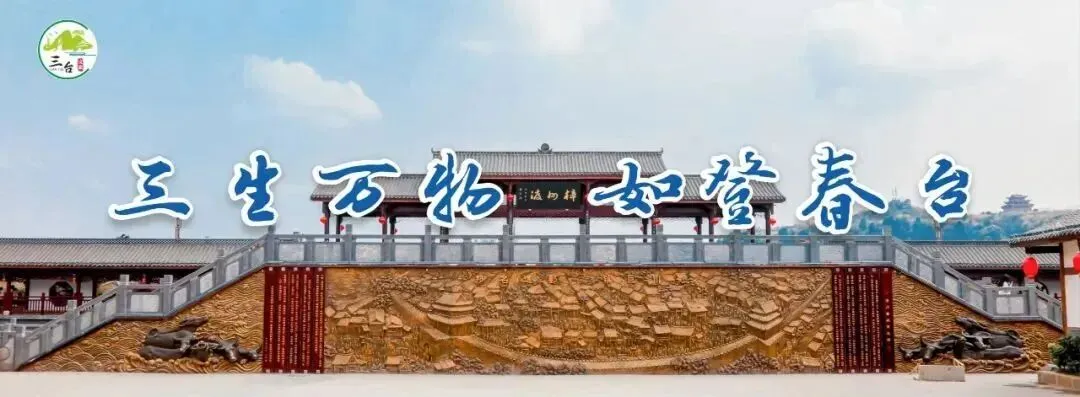 安全护航,快乐无忧!狂欢谷野生动物园景区应急演练圆满落幕