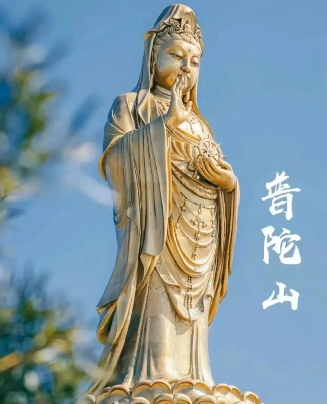 【躺着沙发去旅游】 普陀山+九华山深度祈福 高端豪华2+1商务头等舱5日游