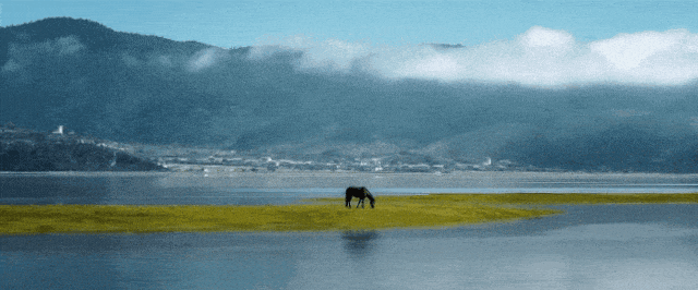 香格里拉市文化和旅游局2026年春节旅游温馨提示