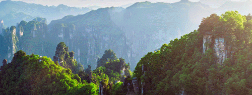 旅游集团党委召开2025年度基层党组织书记抓党建工作述职评议会