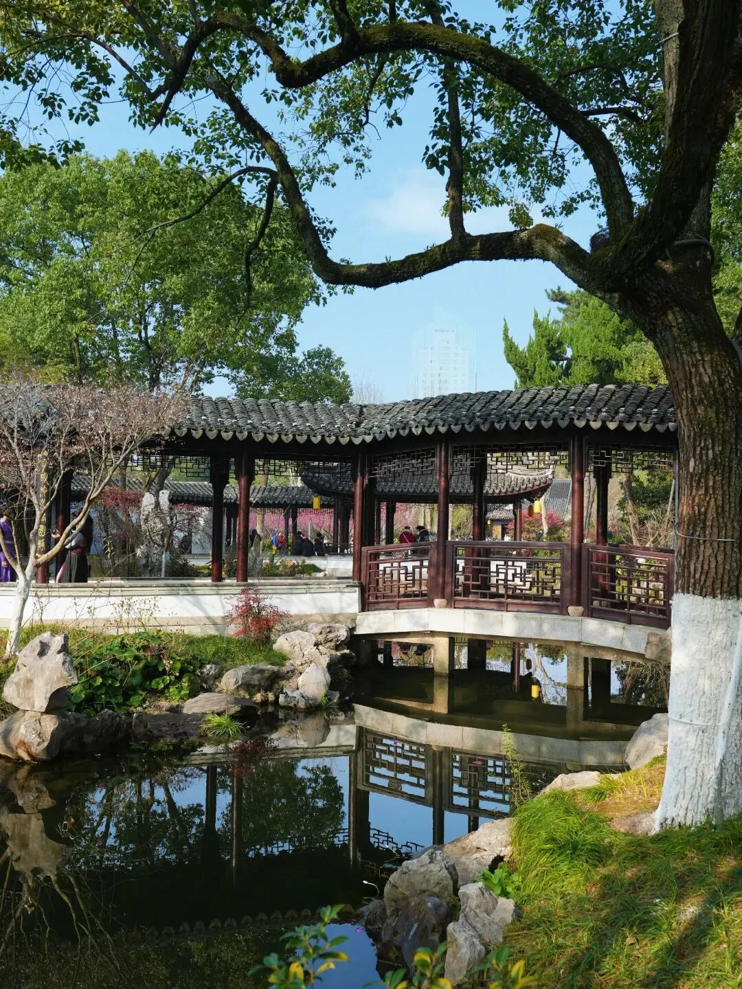 2月宁波3天旅游攻略 零踩雷 江南港城的温柔全藏在这