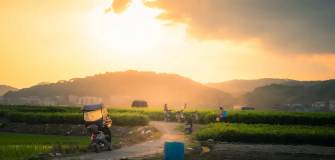 【乡村规划】全域旅游视角下中国乡村旅游发展新思维