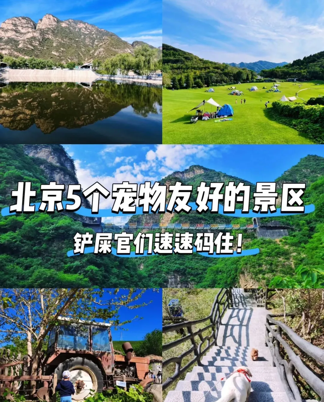 北京5个宠物友好的宝藏景区!铲屎官们速码住